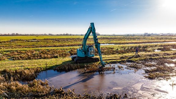 Met behulp van een rupskraan met maaikorf worden de lisdodden vanaf de zijkant afgeknipt